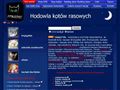 Koty Rasowe - Hodowla Kotów TASDJ*PL